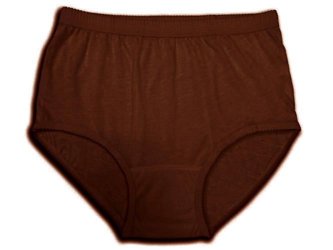 Brown Panties 0441